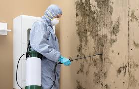 Forensic Mold Investigation in El Dorado Springs, MO